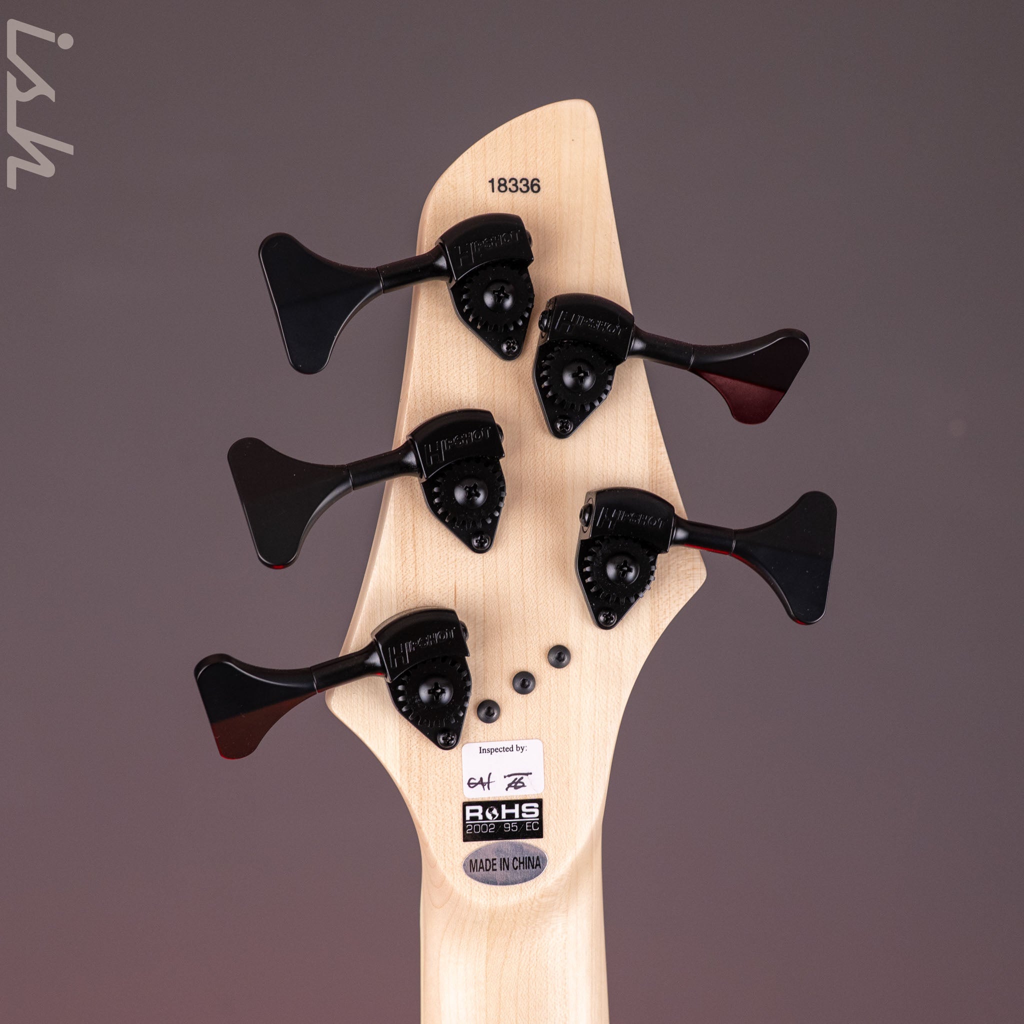2025 Dingwall NG3 5-String Blue Purple Fade – Ish Guitars