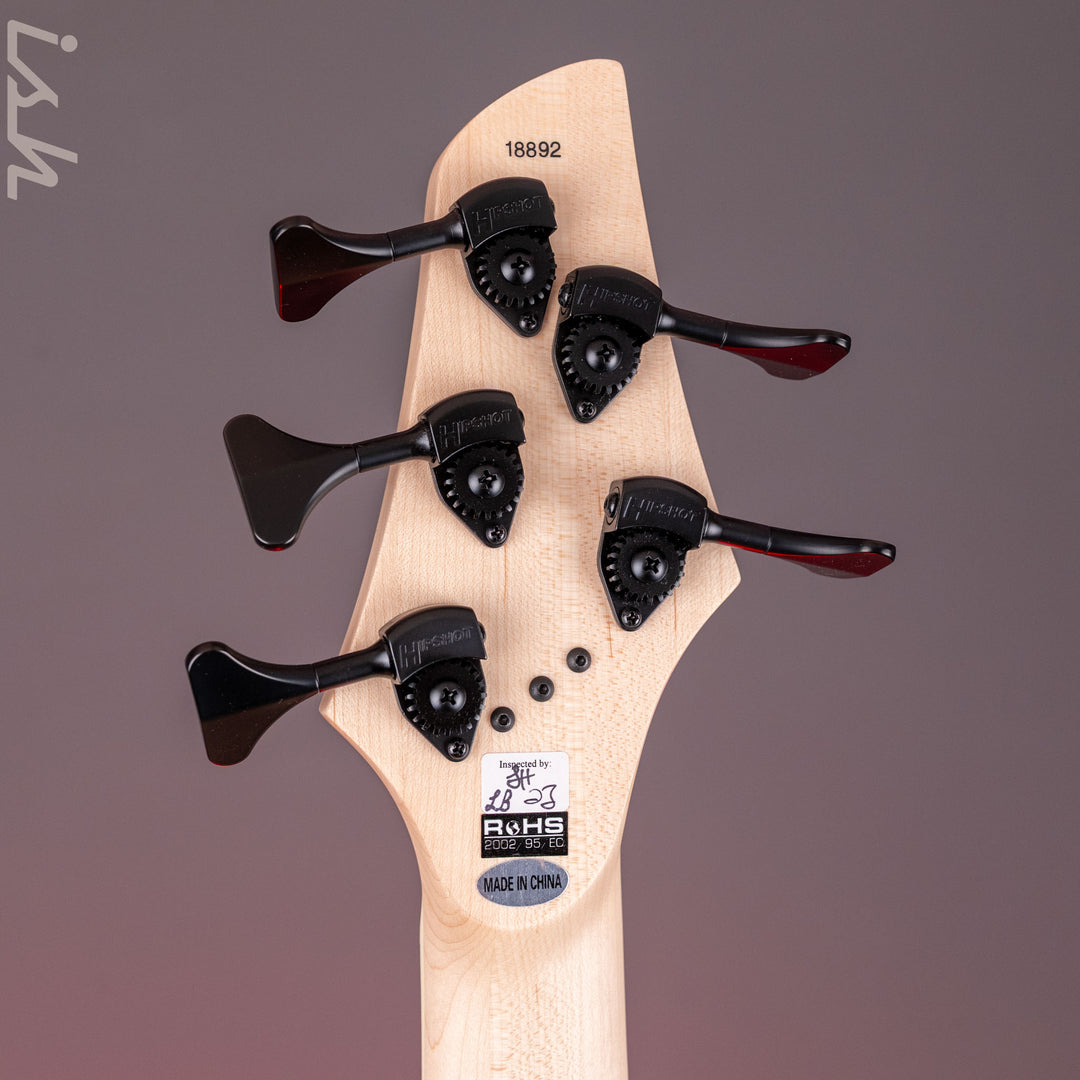 Dingwall Combustion 5-String Bass Whalepoolburst