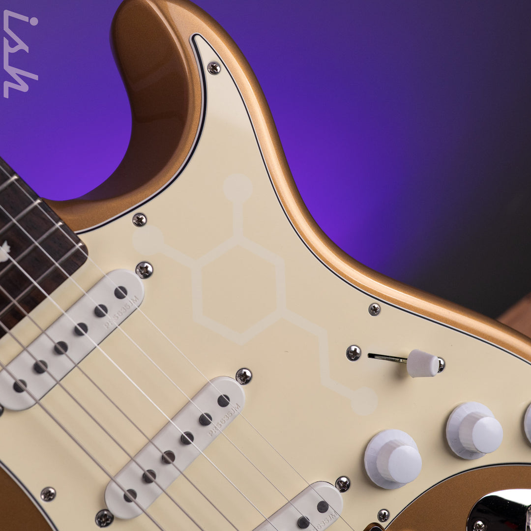 2019 PRS Silver Sky Golden Mesa
