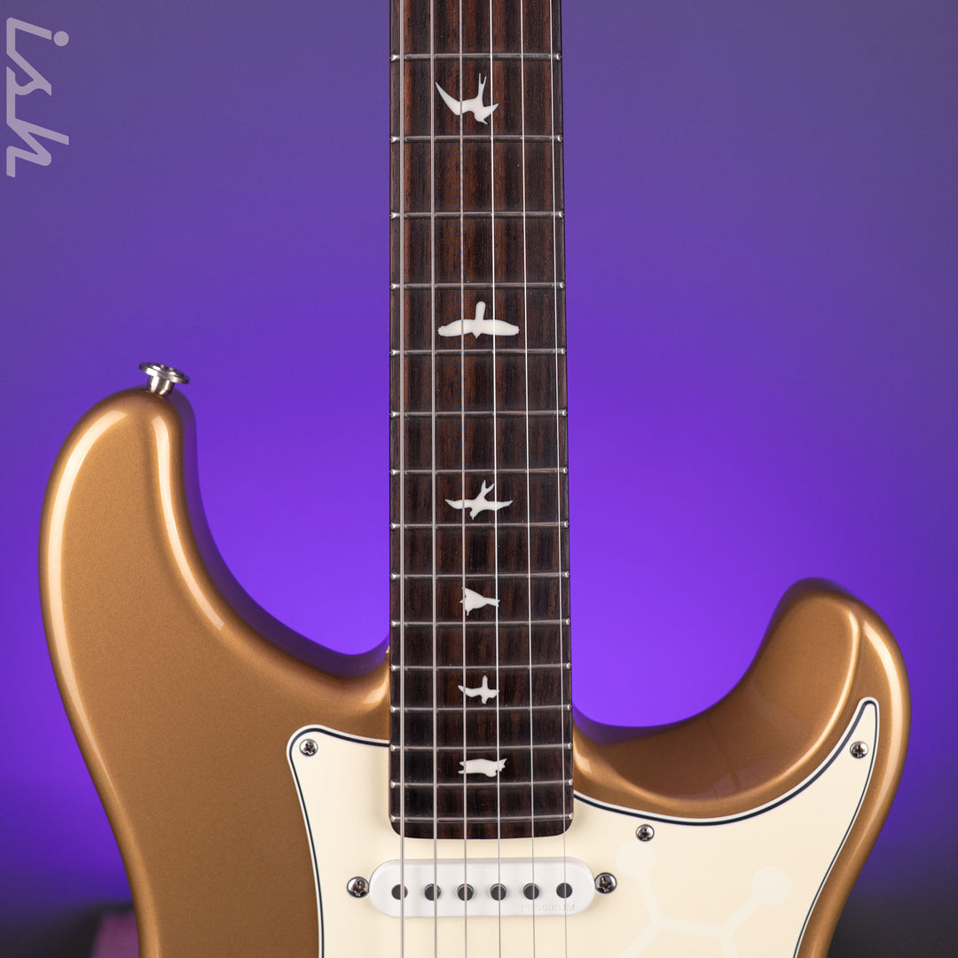 2019 PRS Silver Sky Golden Mesa