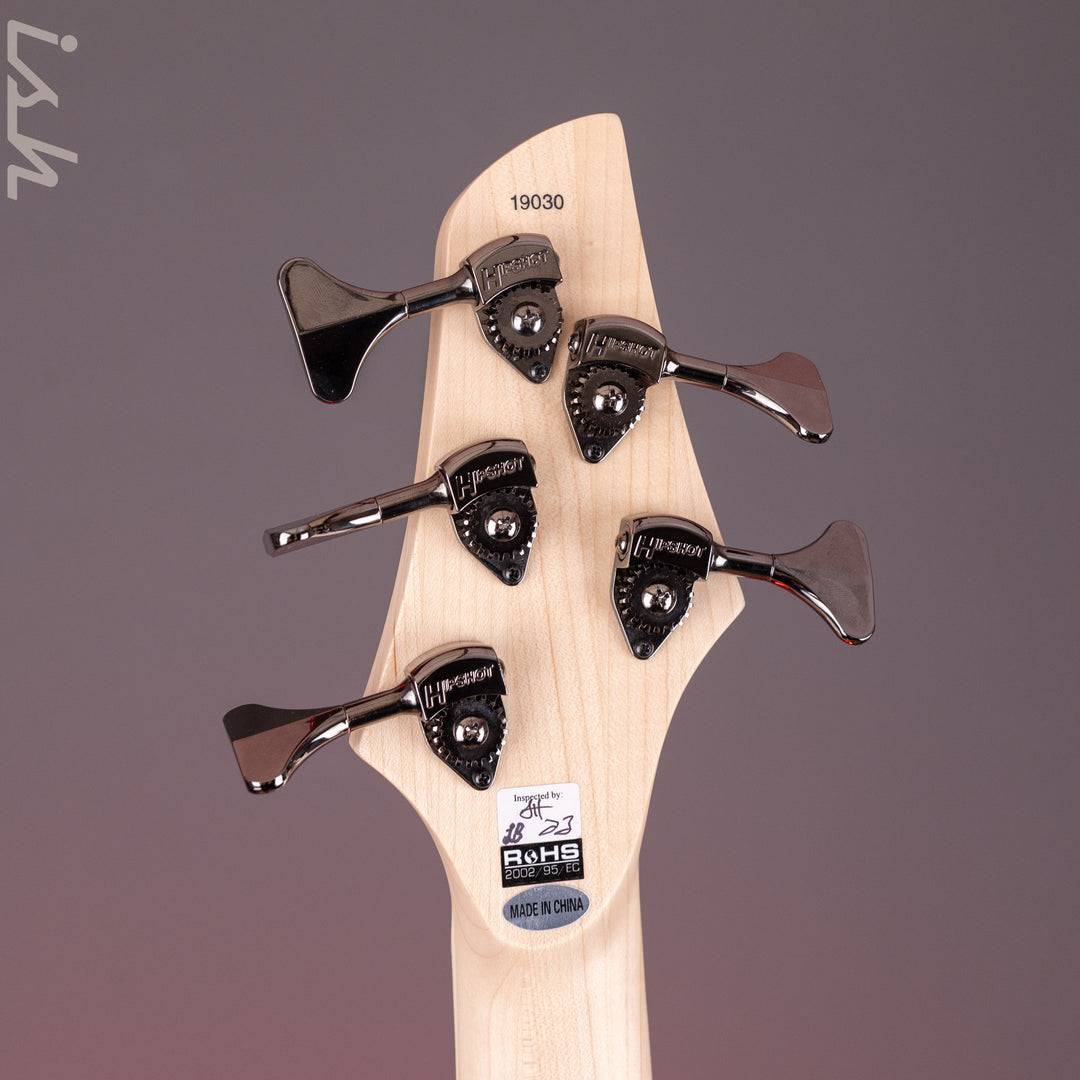 Dingwall Combustion 5-String Bass Guitar Indigoburst Demo