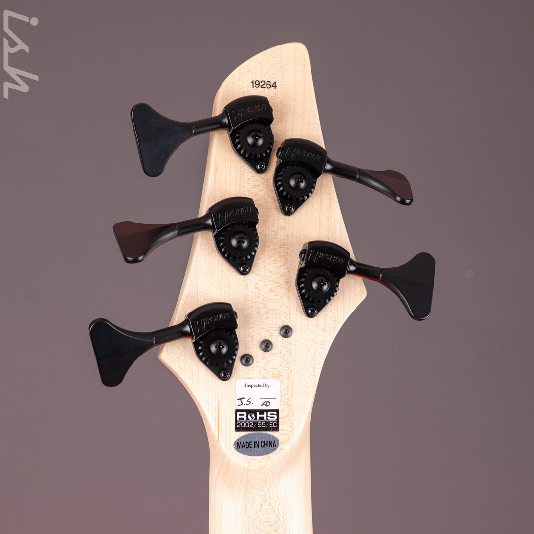 2025 Dingwall NG3 5-String Blue Purple Fade