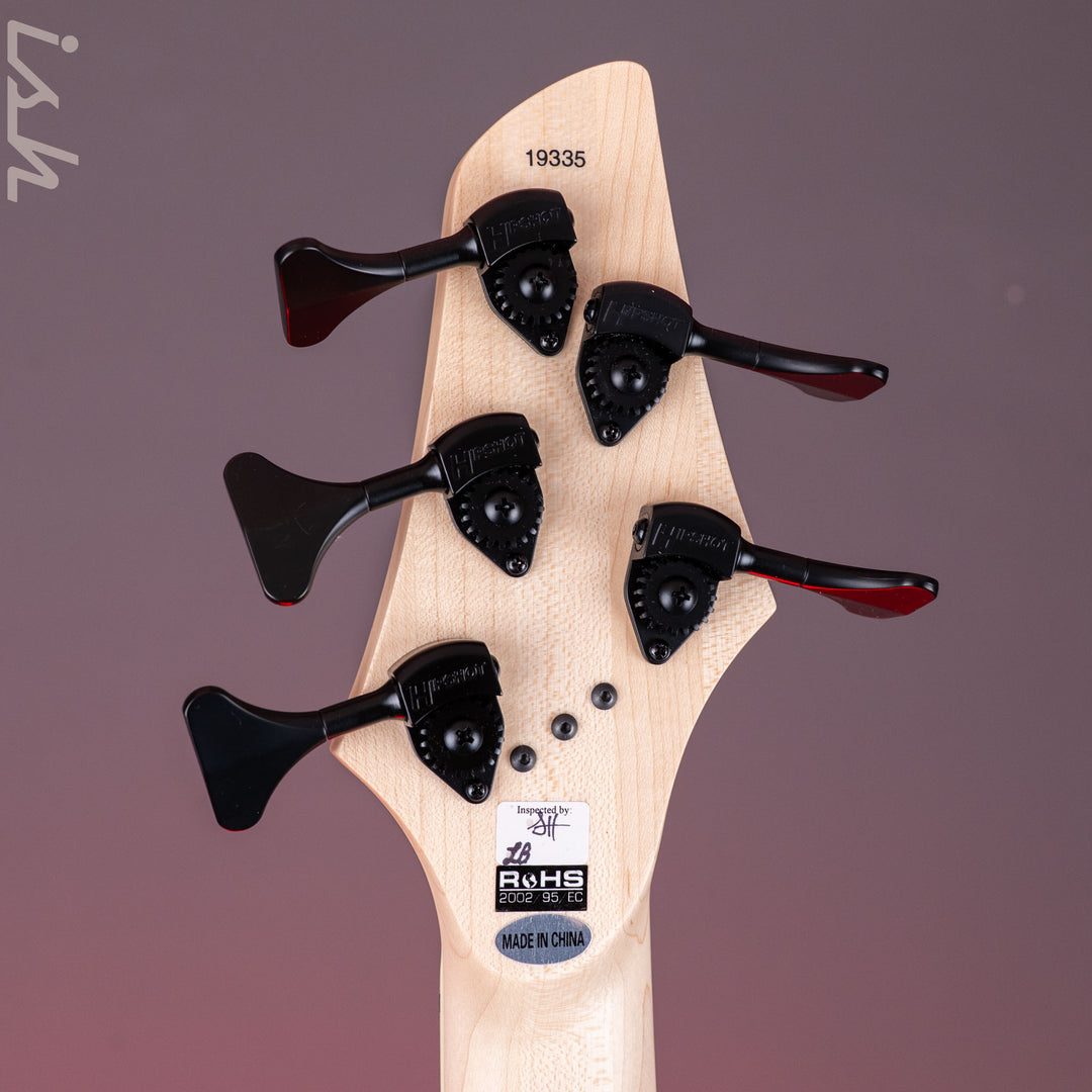Dingwall Combustion 5-String Bass Whalepoolburst