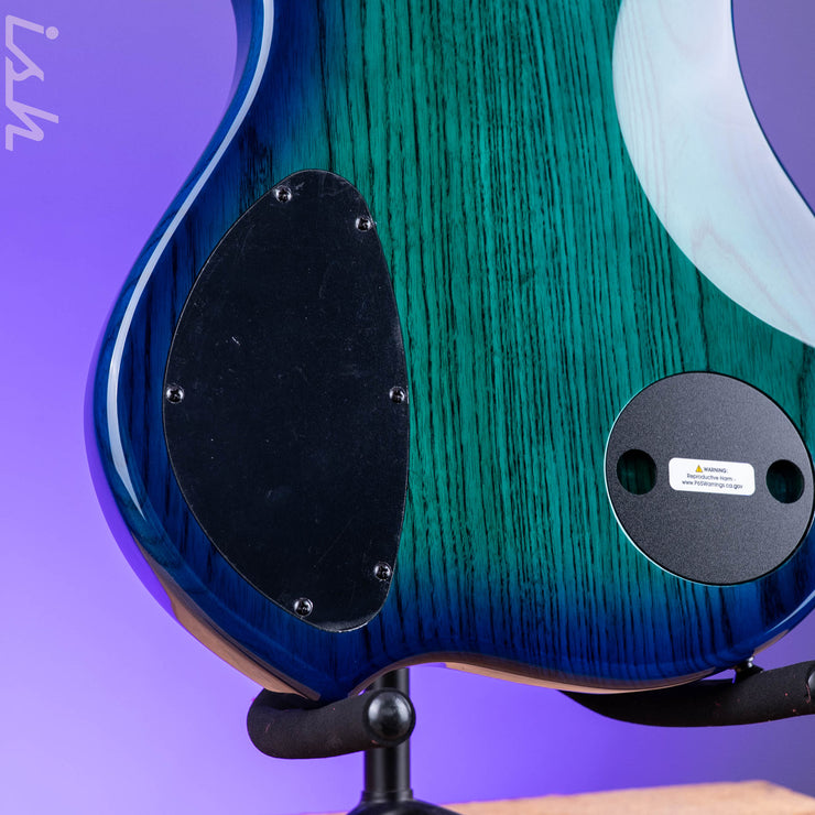 Dingwall Combustion 5-String Bass Whalepoolburst Pau Ferro Fretboard