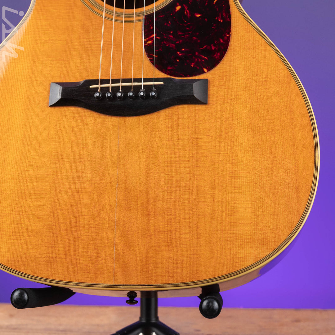 1993 Santa Cruz H Model
