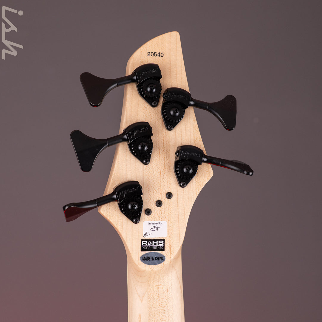 Dingwall NG-3 5-String Bass Metallic Black