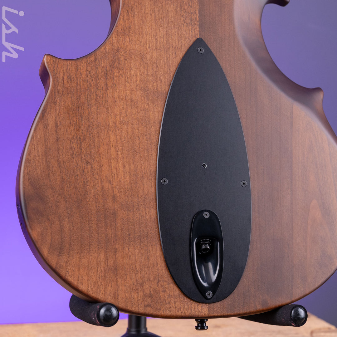 2021 Ritter Violin Bass Vintage Antonio