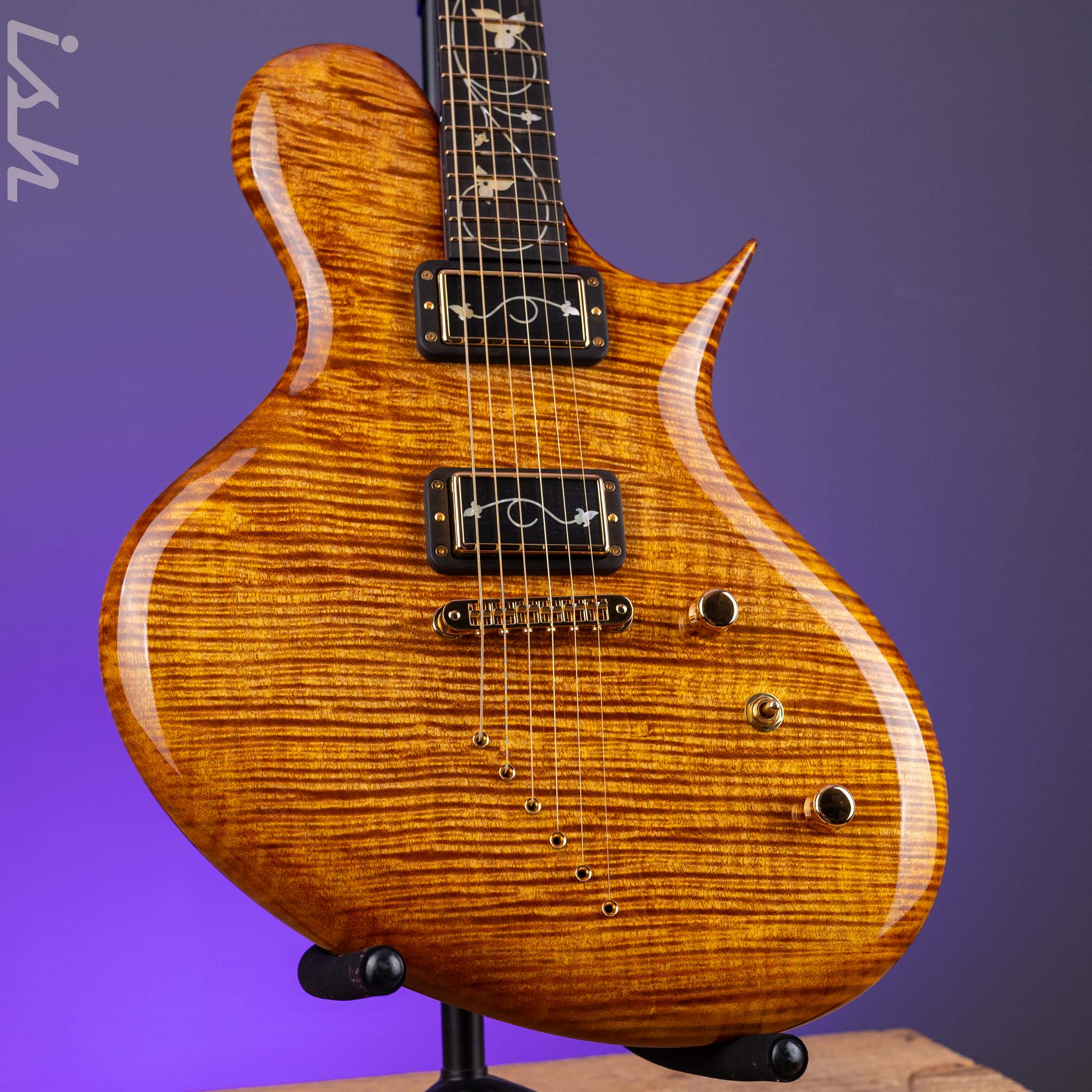 Ritter Porsch Flora Aurum Late Lounge Electric Guitar – Ish Guitars