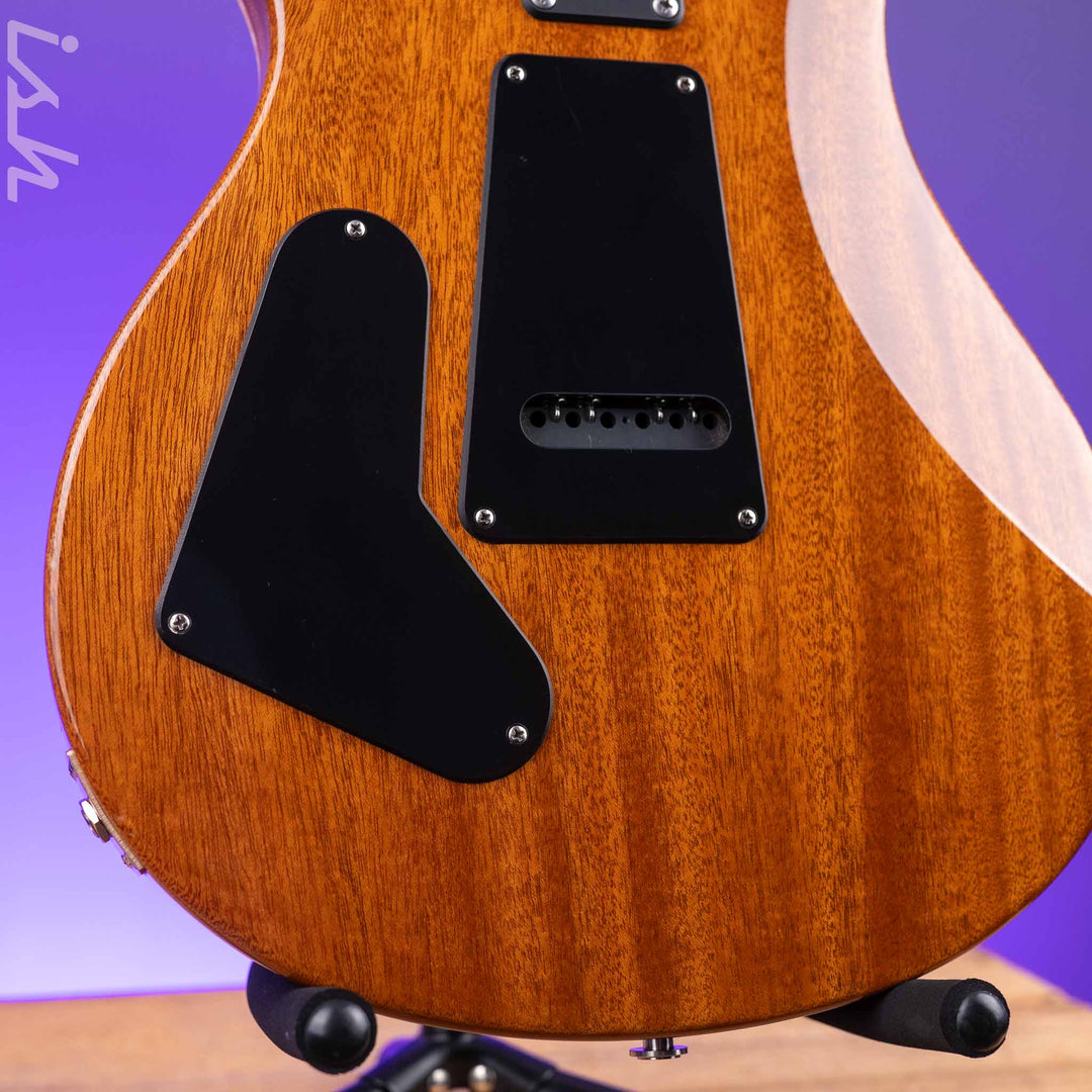2021 PRS CE 24 Electric Guitar Eriza Verde