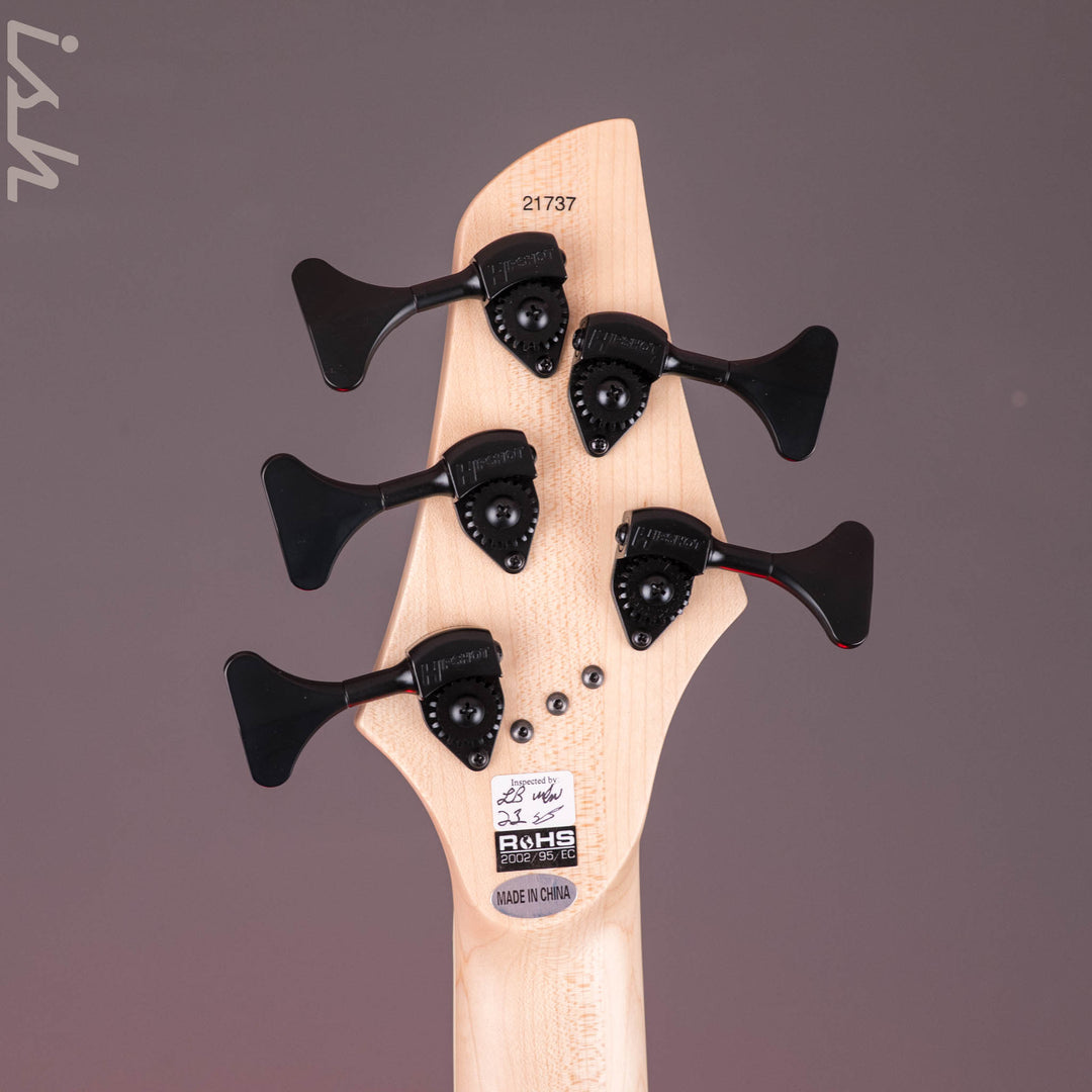 Dingwall NG3 5-String Blue to Purple Fade Swirl