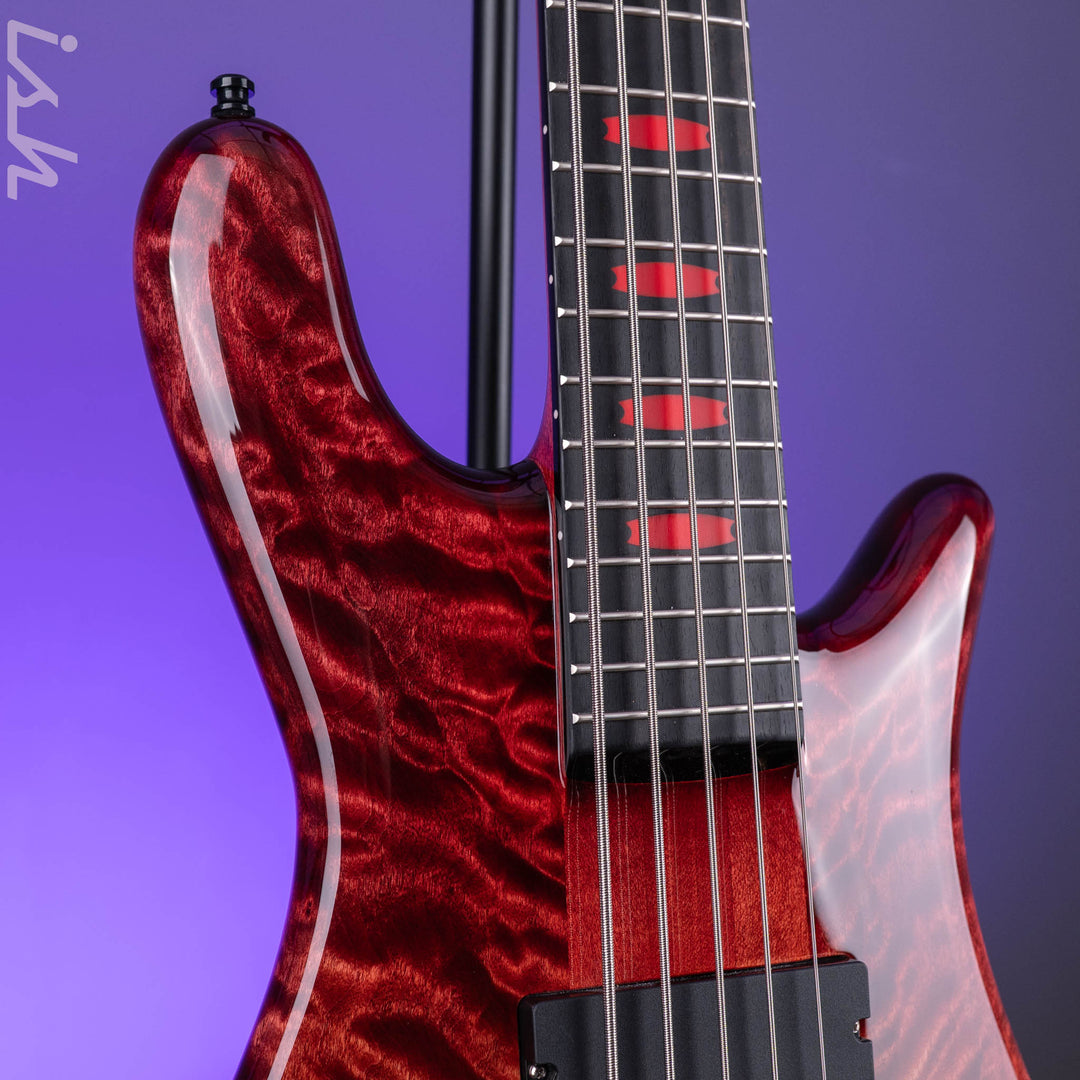Spector USA NS-5 Fire Fade
