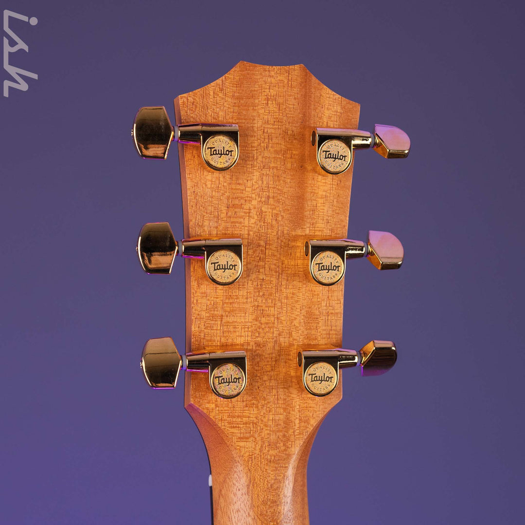 Taylor 224ce-K DLX Grand Auditorium Acoustic-Electric Guitar