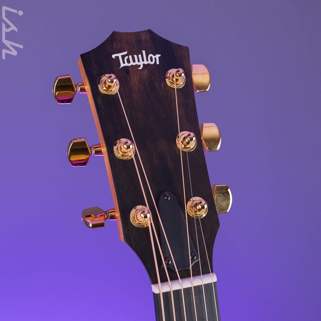 Taylor 224ce-K DLX Grand Auditorium Acoustic-Electric Guitar