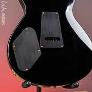 PRS Tremonti Signature 10-Top Guitar Purple Mist