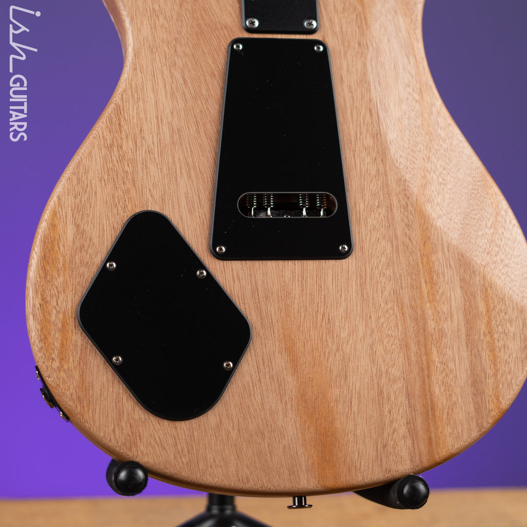 PRS Dustie Waring Signature CE 24 Floyd Satin Black