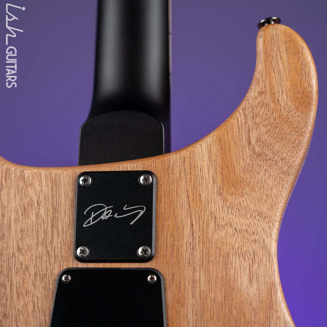 PRS Dustie Waring Signature CE 24 Floyd Satin Black