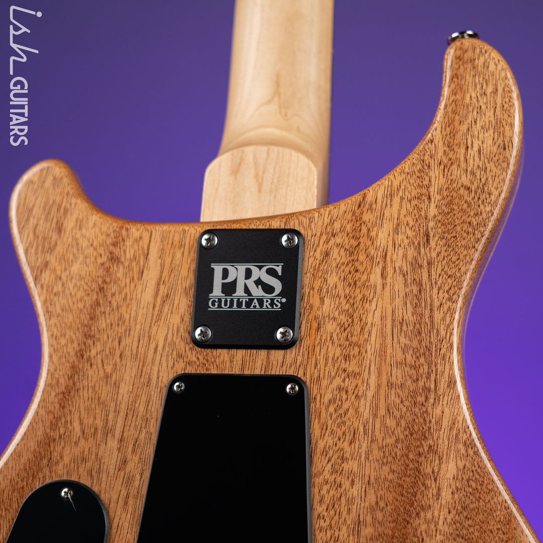 PRS CE 24 Electric Guitar Eriza Verde