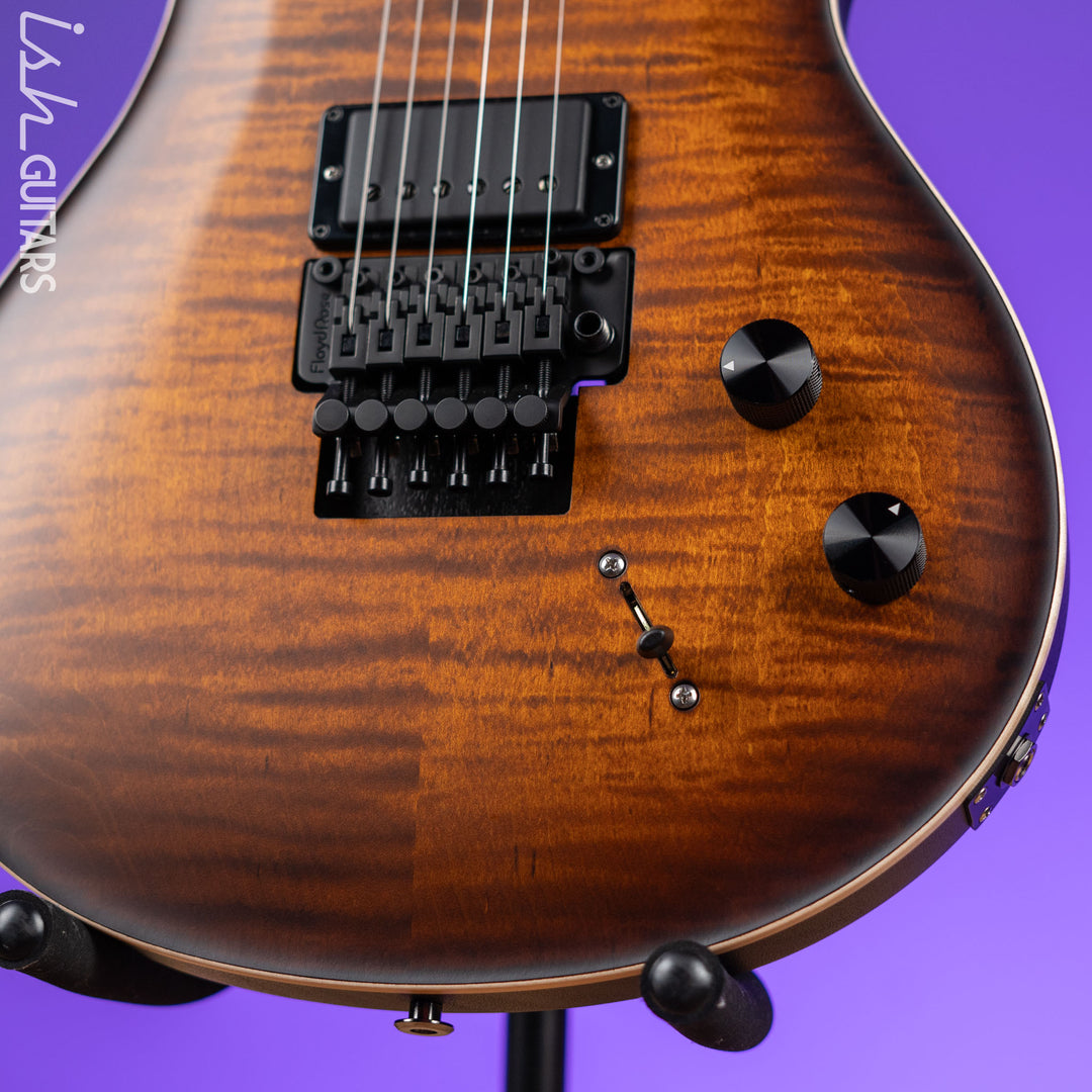 PRS Dustie Waring Signature CE 24 Floyd Amber Smokeburst Satin Nitro