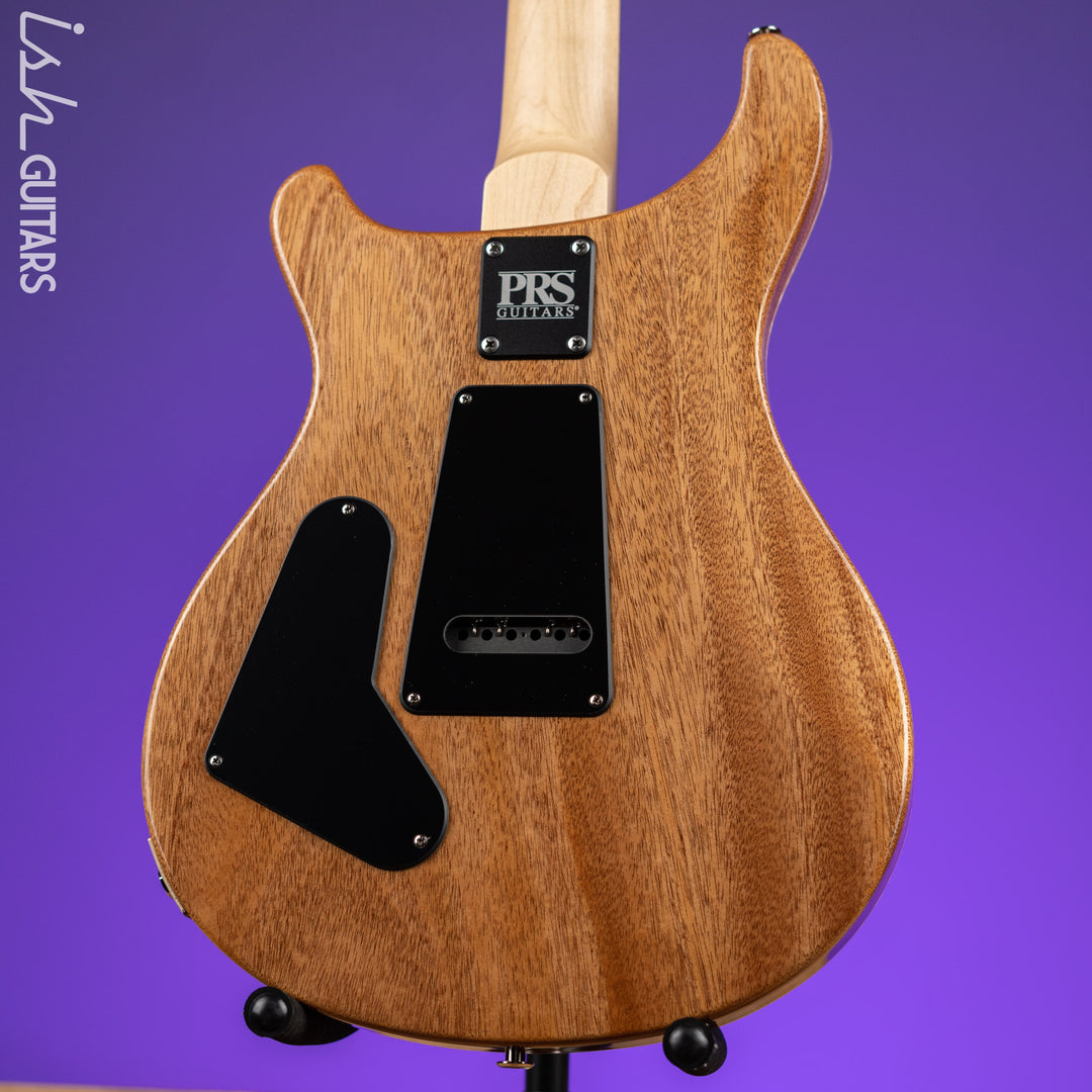 PRS CE 24 Semi-Hollow Eriza Verde