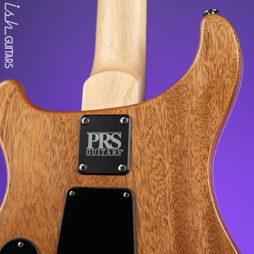 PRS CE 24 Semi-Hollow Eriza Verde