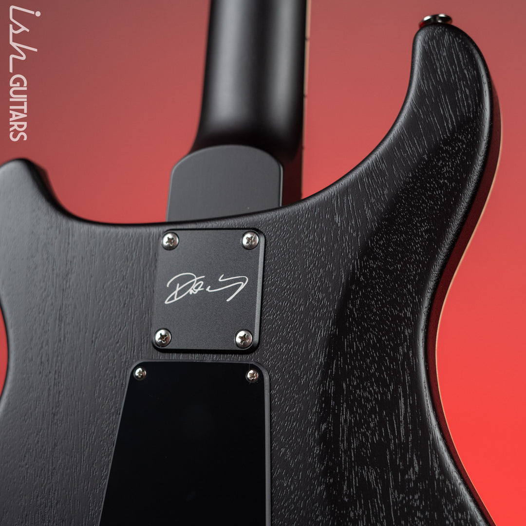 PRS Dustie Waring Signature CE 24 Floyd Gray Black Satin Nitro