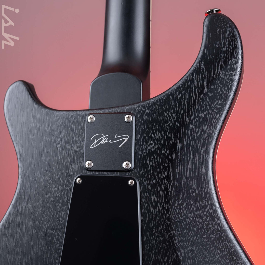 2023 PRS Dustie Waring Signature CE 24 Floyd Gray Black Satin Nitro
