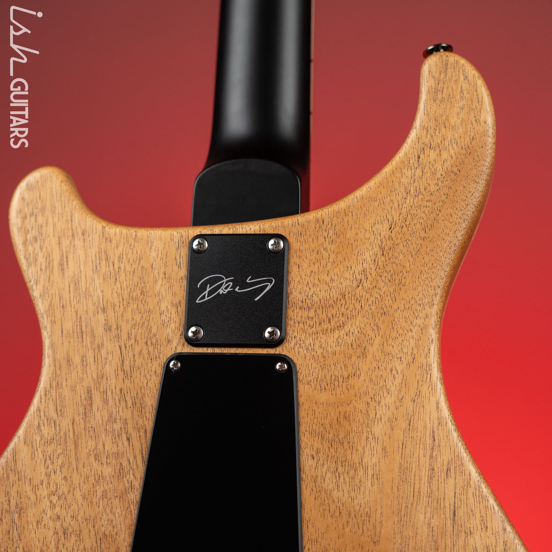 PRS Dustie Waring Signature CE 24 Floyd Black Top Satin Nitro