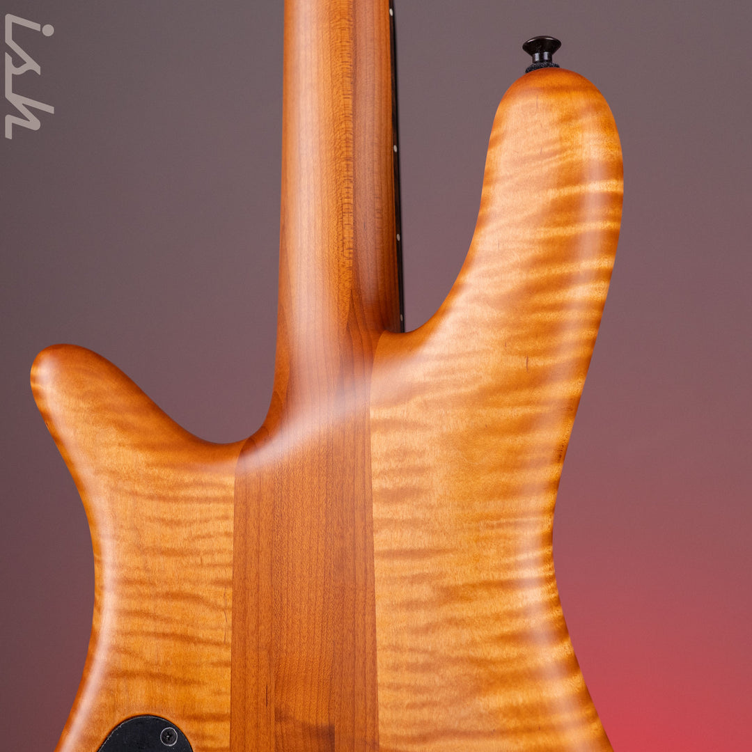 Spector USA NS-2 Amber
