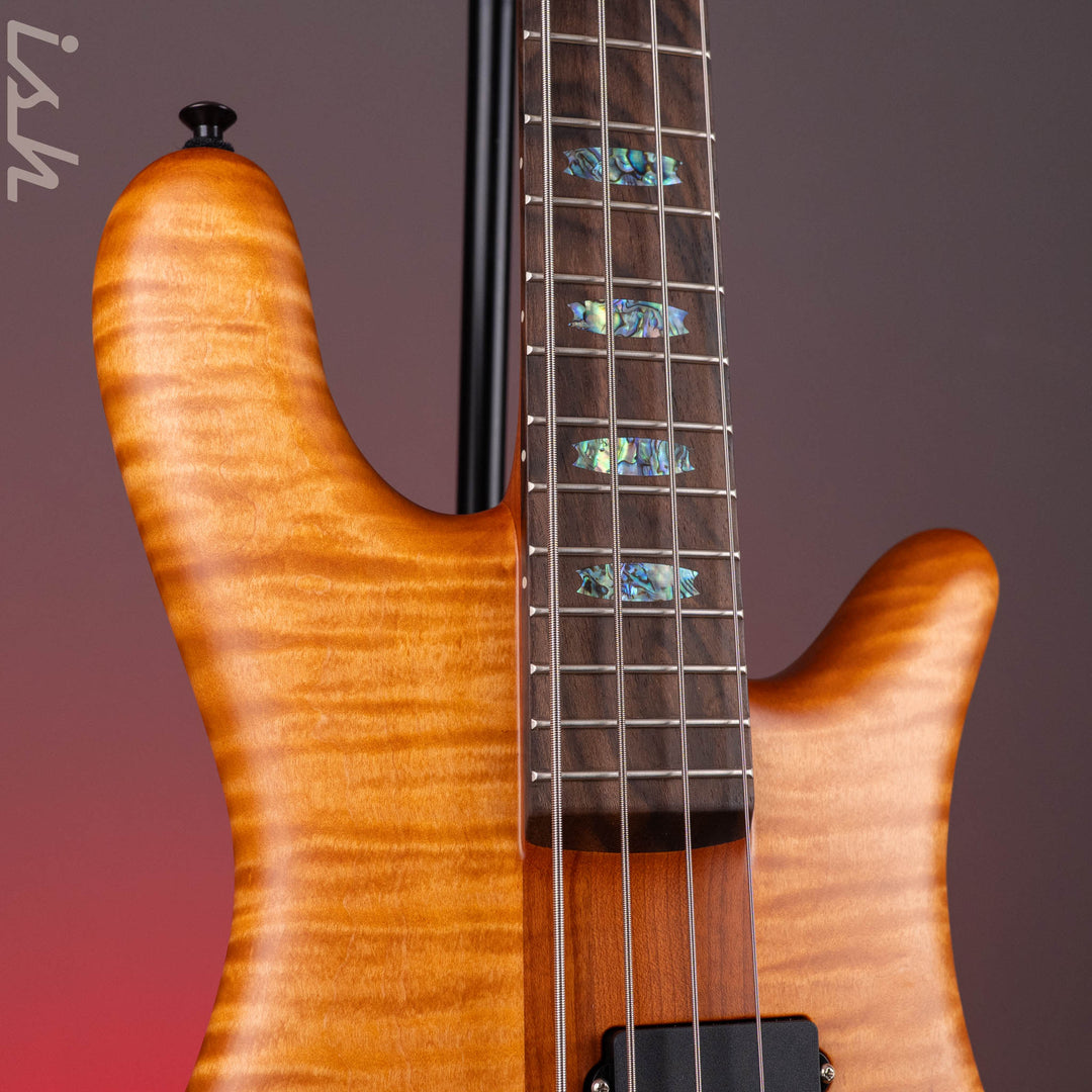 Spector USA NS-2 Amber