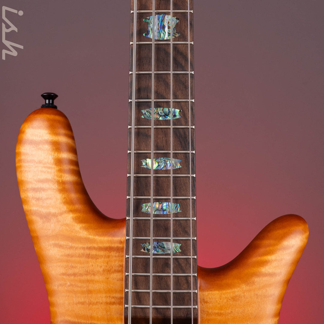 Spector USA NS-2 Amber