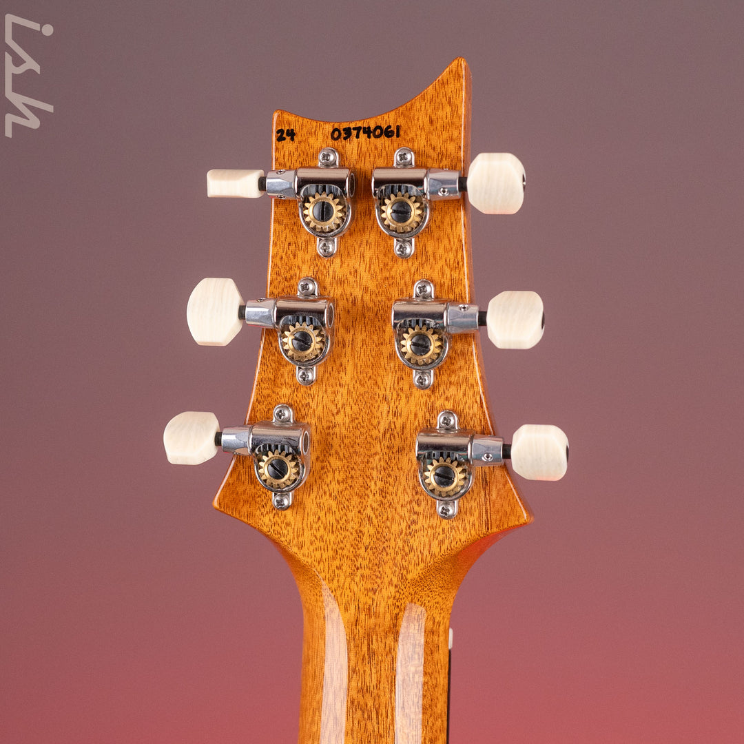 PRS DGT David Grissom Electric Guitar Blue Wrap Burst Demo