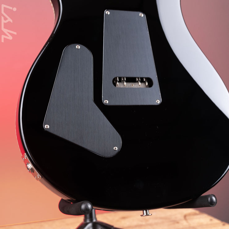 PRS Custom 24 Floyd Electric Guitar 10-Top Purple Mist