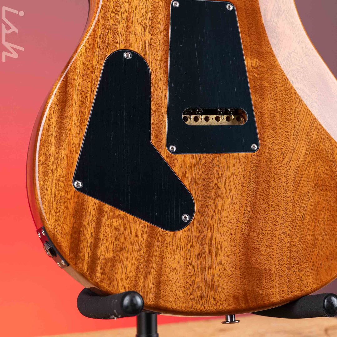 PRS Custom 24 10-Top Fatback - Indian Rosewood Fretboard
