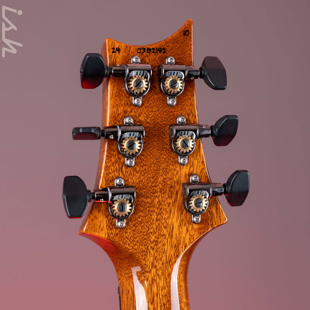 PRS Custom 24 10-Top Fatback - Indian Rosewood Fretboard