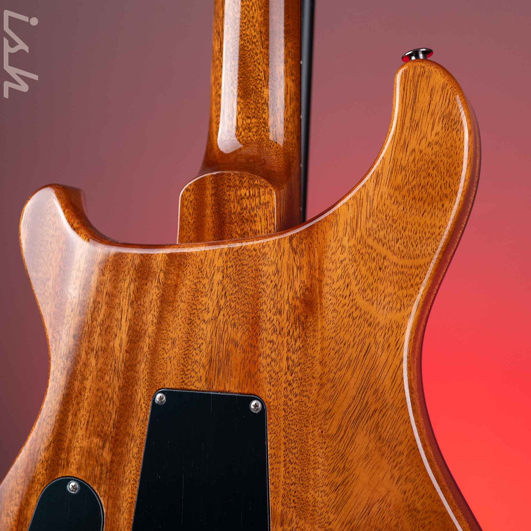 PRS Custom 24 10-Top Fatback - Indian Rosewood Fretboard