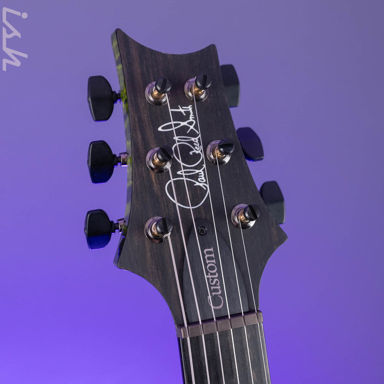 PRS Wood Library Custom 24-08 10-Top Jade – Ish Guitars