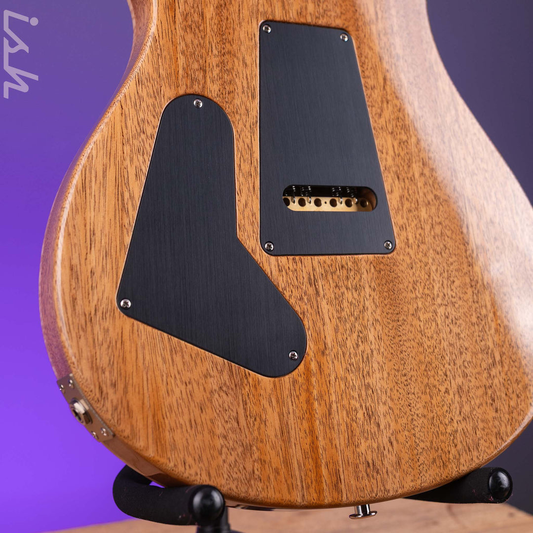 PRS Custom 24 40th Anniversary Tiger Eye