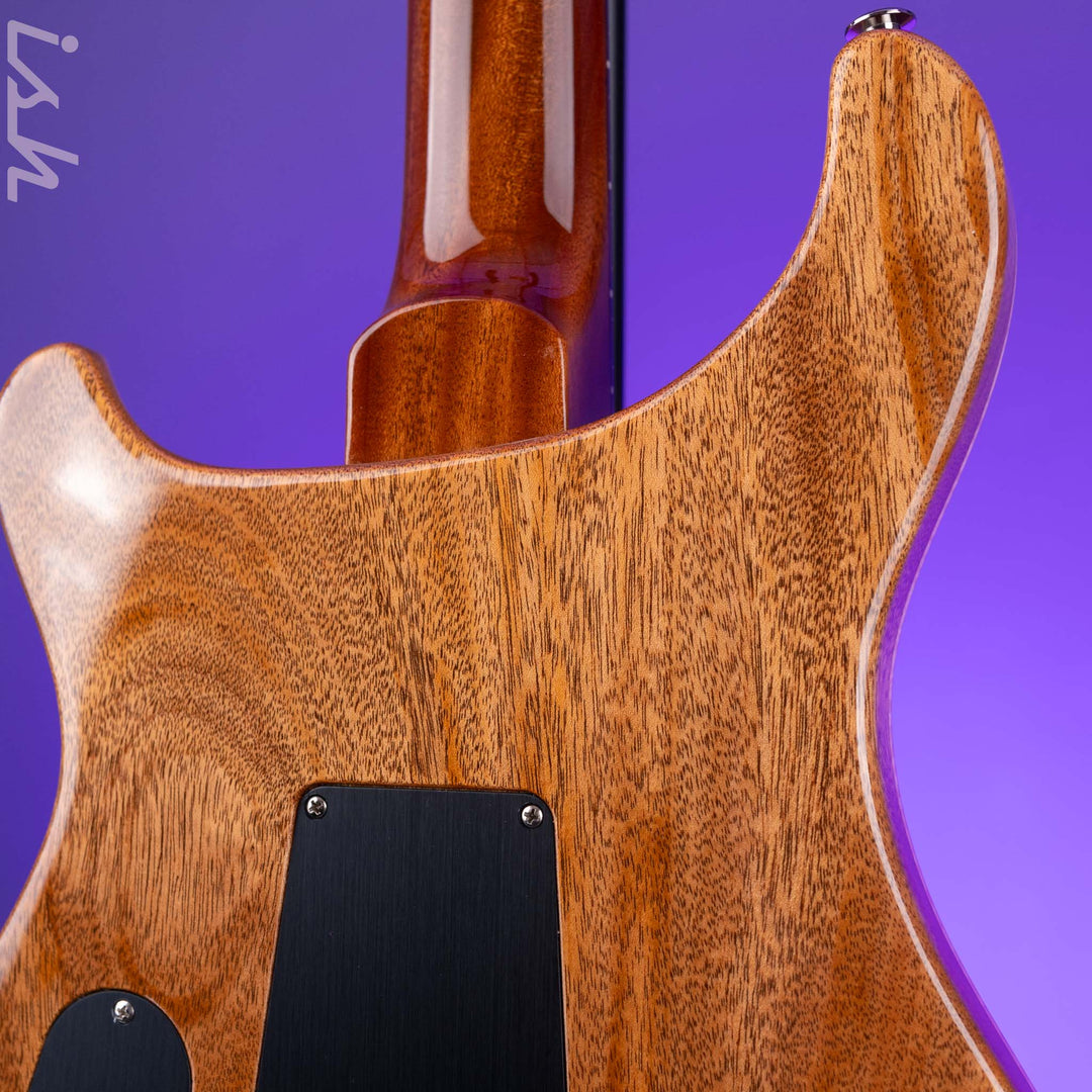 PRS Custom 24 40th Anniversary Tiger Eye