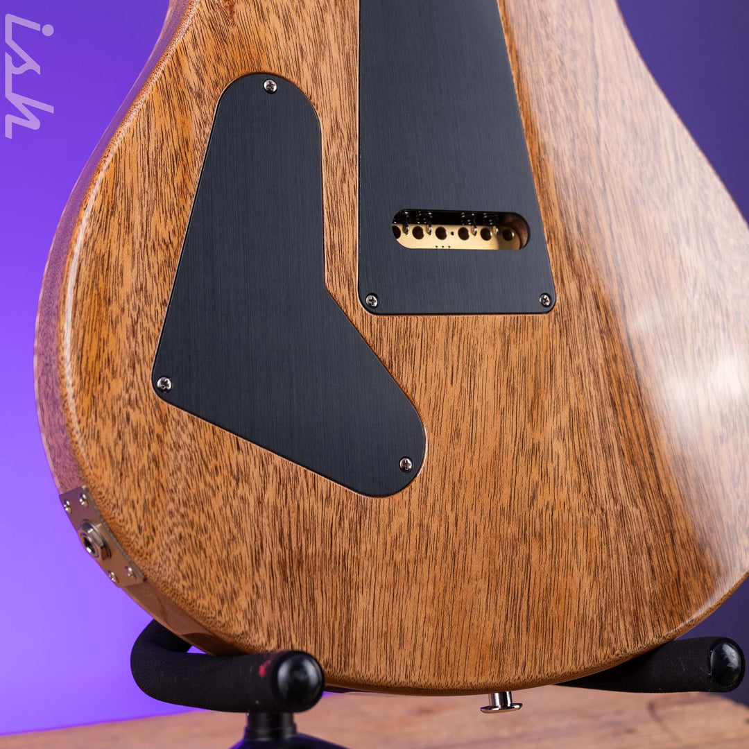 PRS Custom 24 40th Anniversary Tiger Eye