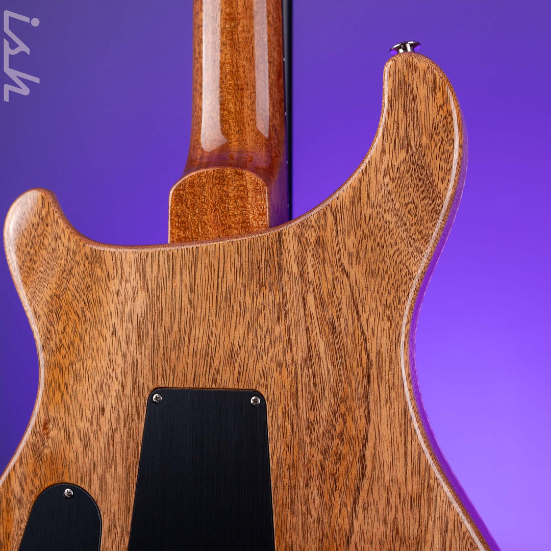 PRS Custom 24 40th Anniversary Tiger Eye