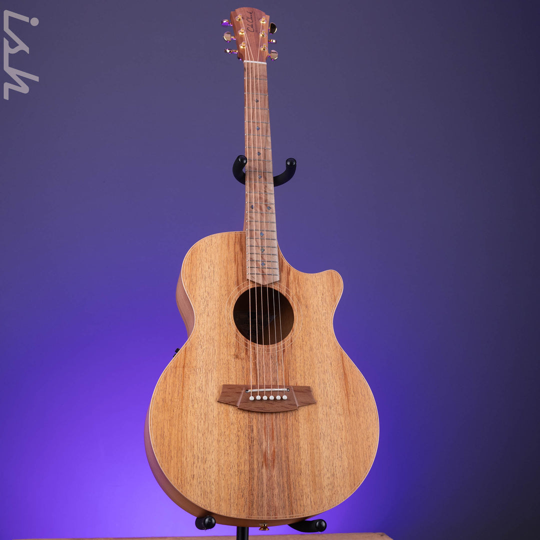 Cole Clark Grand Auditorium Acoustic-Electric Guitar AN2EC Blackwood