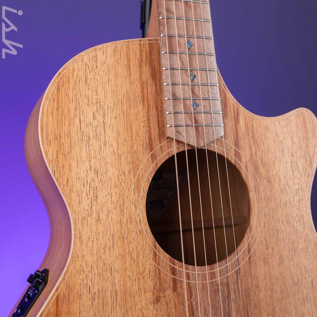 Cole Clark Grand Auditorium Acoustic-Electric Guitar AN2EC Blackwood