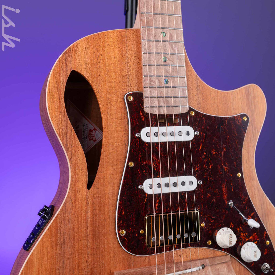 Cole Clark TL2EC-BLBL-HSS Acoustic-Electric Guitar Blackwood