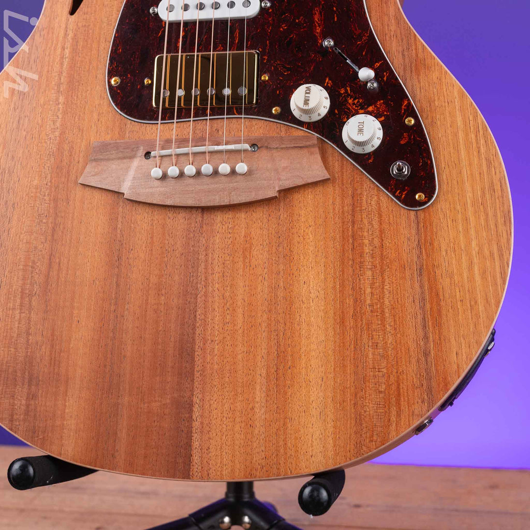 Cole Clark TL2EC-BLBL-HSS Acoustic-Electric Guitar Blackwood