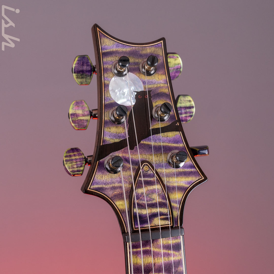 2024 PRS Private Stock Owls in Flight Custom 24 Retro Sour Grapes Brazilian Rosewood