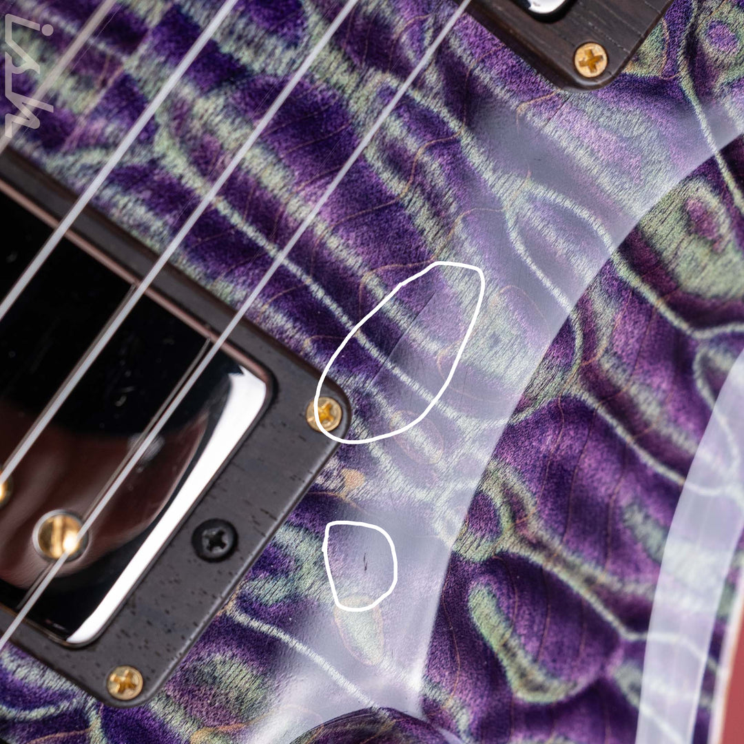 2024 PRS Private Stock Owls in Flight Custom 24 Retro Sour Grapes Brazilian Rosewood