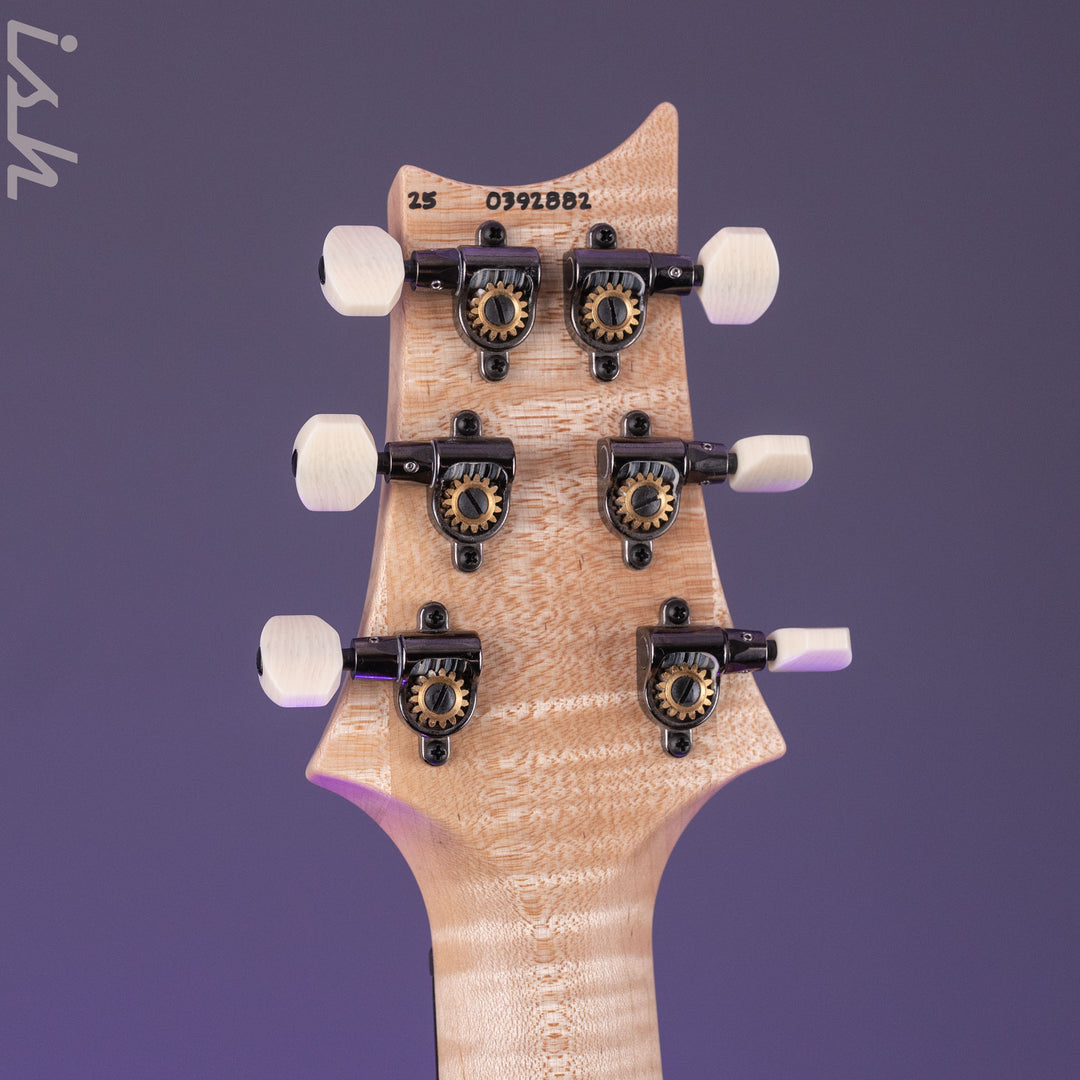 PRS Wood Library DGT Gold Top Ziricote Fretboard