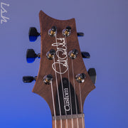 PRS Wood Library Custom 24 10-Top Bonnie Pink *Brazilian Rosewood Fretboard*