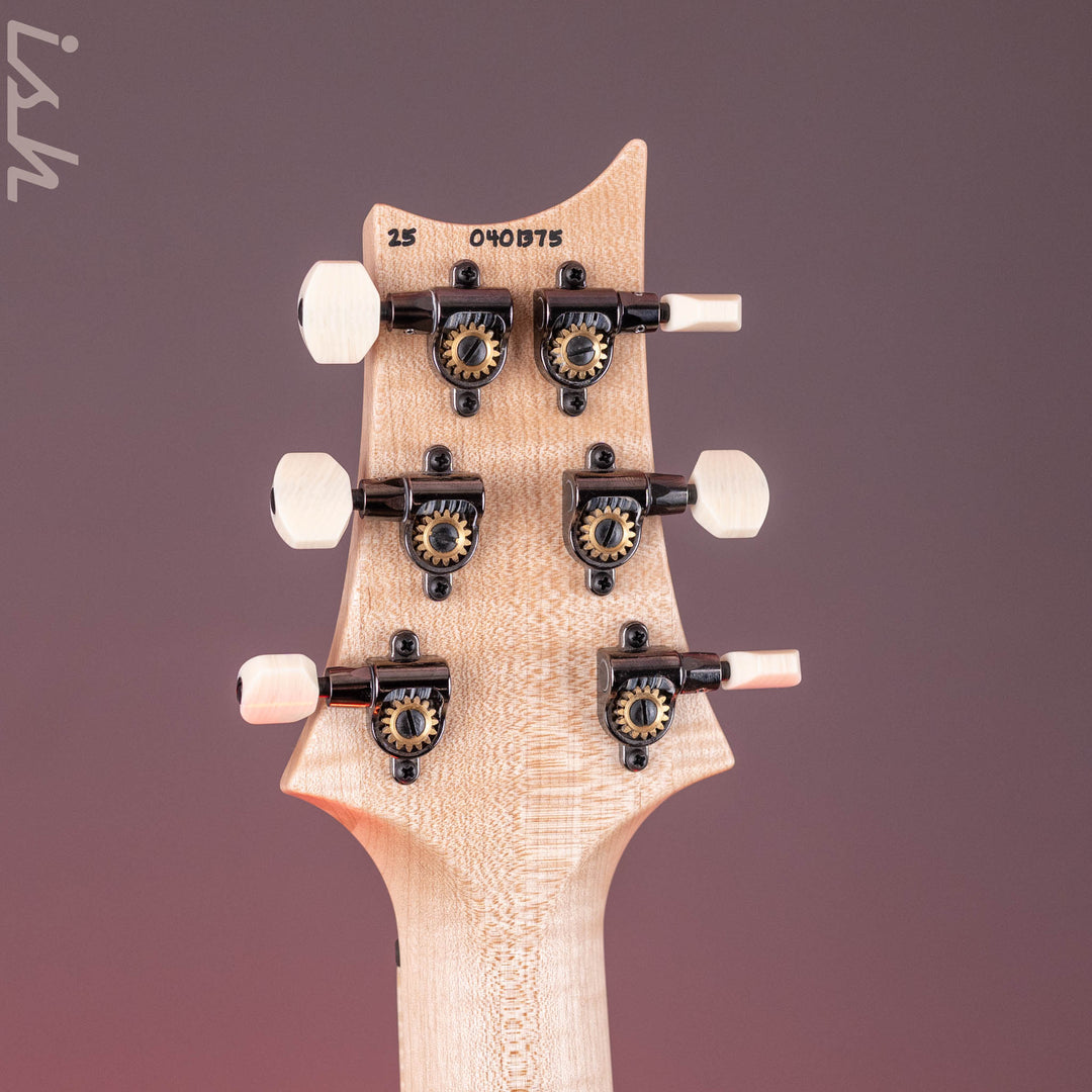 PRS Wood Library DGT Metallic Midnight