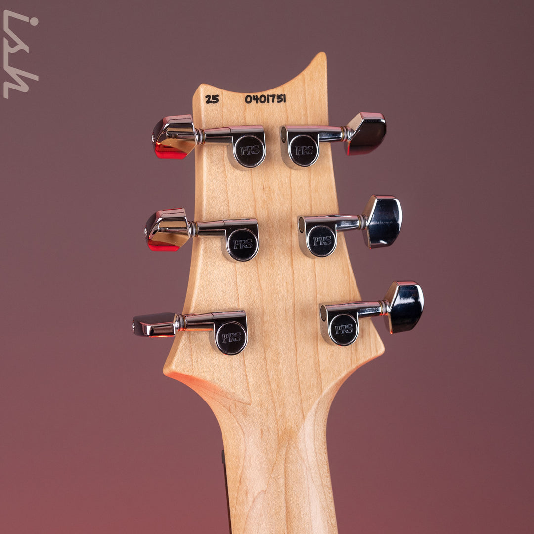 PRS CE 24-08 Swamp Ash Limited Edition Metallic Moonlight
